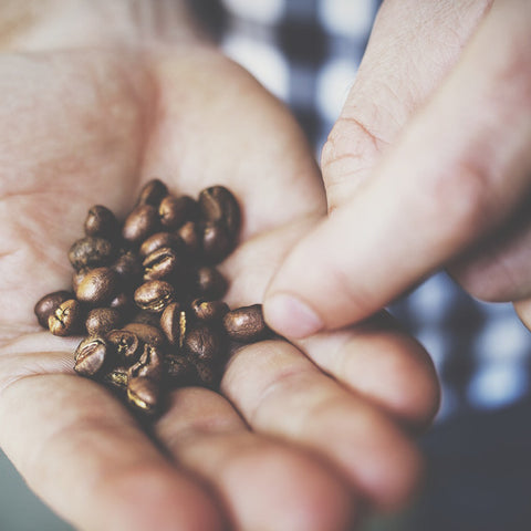 2 Month Artis Roaster's Choice Rotating Coffee Subscription